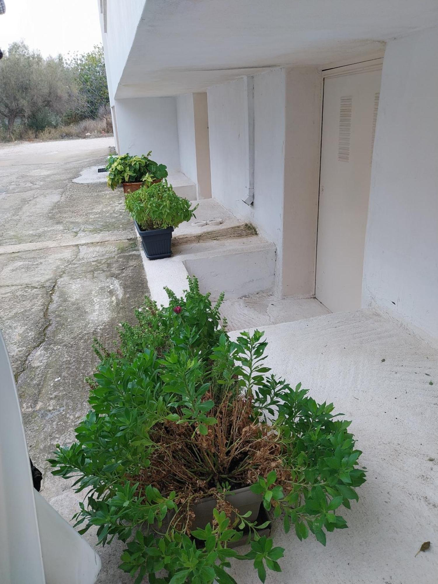 Nav Apart, Salamina Paloukia Extérieur photo